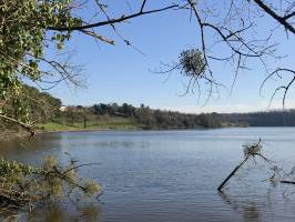 Le Lac du Jaunay : Lac du Jaunay, La Chapelle-Hermier