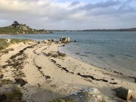 La Baie du Kernic : Baie du Kernic, mer, sable, rochers, goëmon