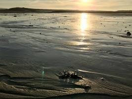 Île Grande : Île Grande, sable, coucher de soleil