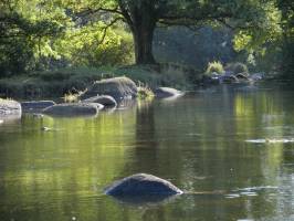 La Sèvre Nantaise : La Sèvre Nantaise, Parc de la Barbinière