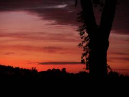 Coucher de soleil : Coucher de soleil, campagne