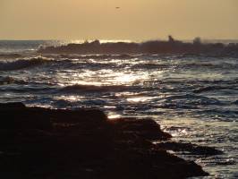 Coucher de soleil : Coucher de soleil, mer, vagues