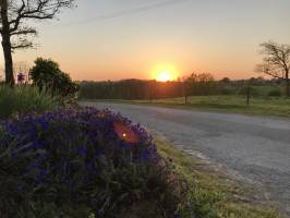 Coucher de soleil : Coucher de soleil, campagne