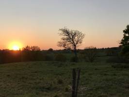 Coucher de soleil : Coucher de soleil, campagne