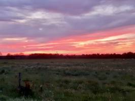 La Campagne de Montbert : Montbert, coucher de soleil, campagne