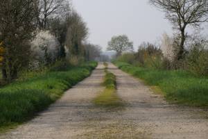 Saint-Étienne-du-Bois : Saint-Étienne-du-Bois, chemin rural, talus, Campagne