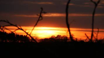 Coucher de soleil : Coucher de soleil, campagne