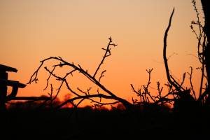 Coucher de soleil : Coucher de soleil