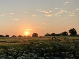 Coucher de soleil : Coucher de soleil, campagne, champ