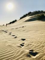 La Dune du Veillon : Plage du Veillon, Dune