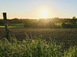 Campagne du Boupère : Coucher de soleil, campagne, champ