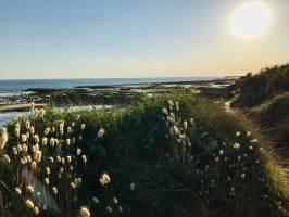 Plage du Veillon : Plage du Veillon, mer, rochers, algues