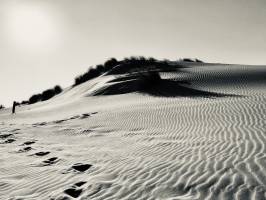 La Dune du Veillon : Dune du Veillon