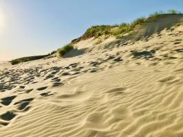 La Dune du Veillon : Plage du Veillon, Dune