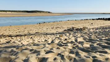 Plage du Veillon : Plage du Veillon, Talmont-Saint-Hilaire, Dunes, sable, mer, rivière