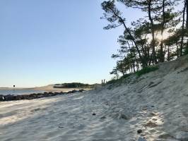 Plage du Veillon : Plage du Veillon, Talmont-Saint-Hilaire, Dunes, sable