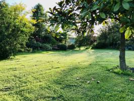 Jardin Breton : Jardin, Bretagne, pelouse