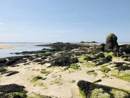 La Baie du Kernic : Baie du Kernic, Porsguen, sable, Rochers, algues, goëmon