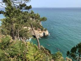 Plage de l’Île Vierge : Plage de l’Île Vierge, Crozon, falaises, mer, pins