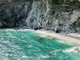 Plage de l’Île Vierge : Plage de l’Île Vierge, Crozon, falaises, mer