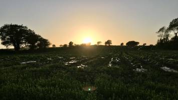 Plouzévédé : Coucher de soleil, campagne