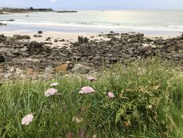 L’Anse du Guillec : Anse du Guillec, Plougoulm, mer, rochers