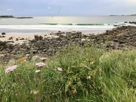 L’Anse du Guillec : Anse du Guillec, Plougoulm, mer, rochers