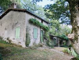 Maison dans les Bois : Maison dans les bois, St Laurent sur Sèvre