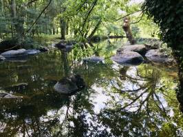 La Sèvre Nantaise : La Sèvre Nantaise, Saint-Laurent-sur-Sèvre