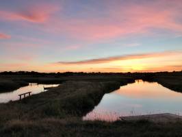 Marais de la Boulinière : Marais de la Boulinière