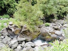 La Rivière Langevin : La Réunion, Langevin, Rivière