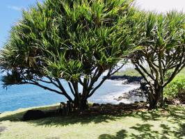 La côte Sud : La Réunion, cote sud, mer, Vacoa