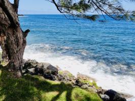 La côte Sud : La Réunion, cote sud, mer, rochers, Filao