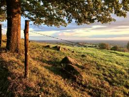 Puy Lambert : Puy Lambert