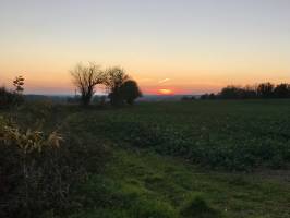 Coucher de soleil : Coucher de soleil, Le Boupère, Campagne