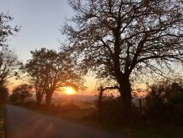 Coucher de soleil : Coucher de soleil, Le Boupère, Campagne