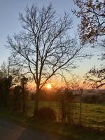 Coucher de soleil : Coucher de soleil, Le Boupère, Campagne