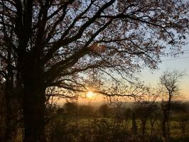 Coucher de soleil : Coucher de soleil, Le Boupère, Campagne