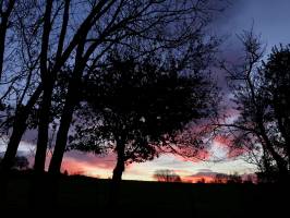 Sunrise : Lever du Soleil, campagne