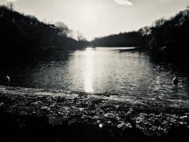 Lac de Finfarine : Lac de Finfarine, Noir et Blanc