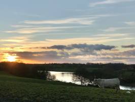 Coucher de soleil : Retenue de Rochereau, Coucher de soleil, Charolaise