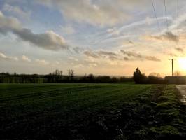 Coucher de soleil : Coucher de soleil, campagne