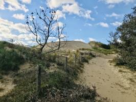 La Plage du Veillon : Plage du Veillon, Dune, Bois, sable