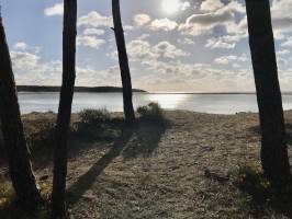 La Plage du Veillon : Plage du Veillon, Pins, mer, dune