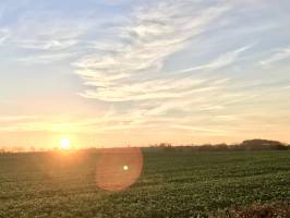 Coucher de soleil : Coucher de soleil, campagne