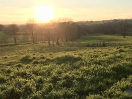 Coucher de soleil : Coucher de soleil, campagne, champ, arbres