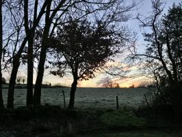 Sunrise : Sunrise, Campagne