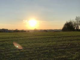 Coucher de soleil : Coucher de soleil, campagne, champ, arbres