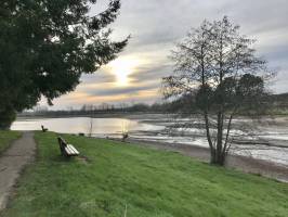 Le Lac de l’Espérance : Le Lac de l’Espérance, Pouzauges