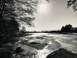 Le Lac de l’Espérance : Lac de l’Espérance, Pouzauges, Noir et Blanc